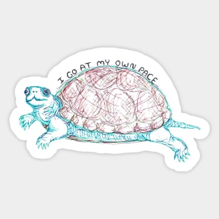 I go at my own pace Turtle Sticker